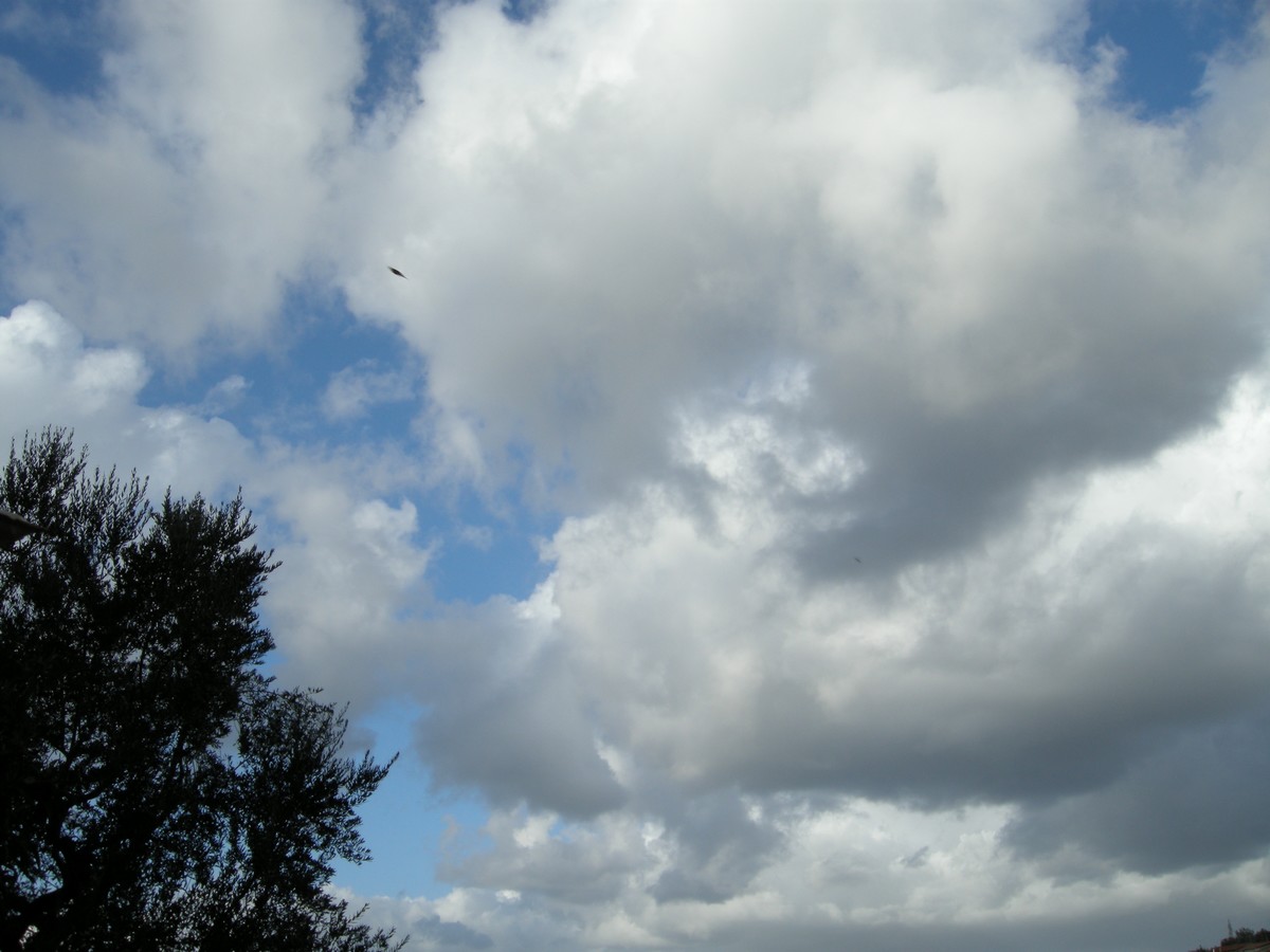 cielo del Mediterraneo